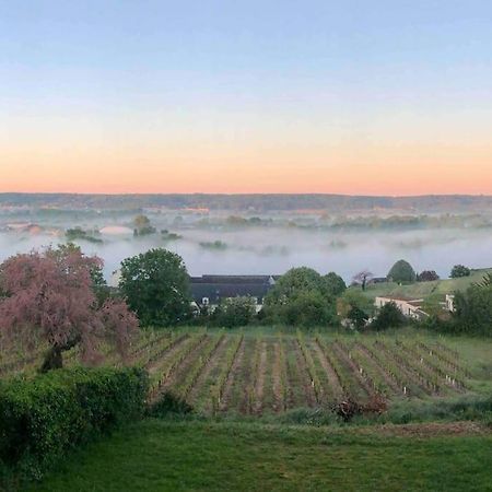 Maison Vue Panoramique Depuis Le Coteau De Chinon Esterno foto
