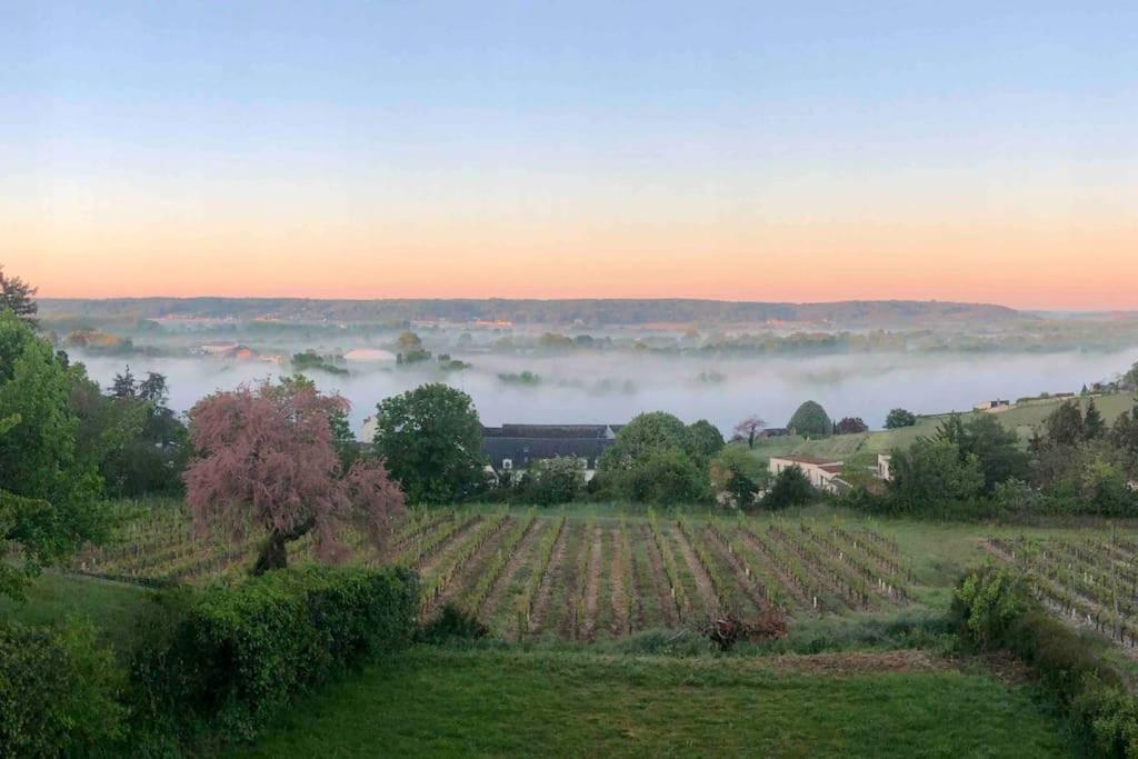 Maison Vue Panoramique Depuis Le Coteau De Chinon Esterno foto
